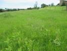 Vente Terrain Proissans 24200 1100 m2