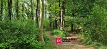 Vente Terrain Brignoles  83170 4445 m2