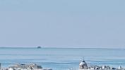 Vente Appartement Nice  06000 3 pieces 80 m2