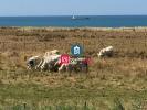 Vente Appartement Wimereux  62930 3 pieces 67 m2