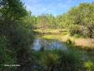 Vente Terrain Montereau 45260 32767 m2