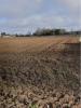 Vente Terrain Verines 17540 300 m2