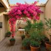 Vente Appartement Carcassonne 11000 5 pieces 274 m2