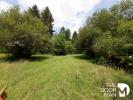 Vente Terrain Auffargis 78610 2320 m2