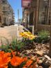 Vente Local commercial Saint-raphael 83700