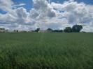 Vente Terrain Ballon 17290 430 m2