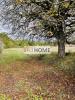 Vente Terrain Loupes 33370 650 m2