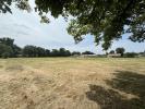 Vente Terrain Saint-magne 33125 800 m2
