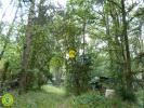 Vente Terrain Langeais 37130 3783 m2