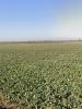 Vente Terrain Angliers 17540 335 m2