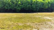Vente Terrain Marsais 17700 632 m2