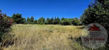 Vente Terrain Palme  11480 844 m2