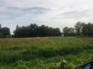 Vente Terrain Berson 33390 1000 m2