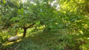 Vente Terrain Oz 38114 5 pieces 744 m2