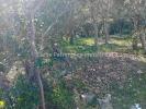Vente Terrain Sotta 20146 1280 m2