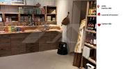 Vente Loft/Atelier Arles 13200 2 pieces 52 m2