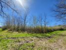Vente Terrain Castelnau-de-medoc 33480 7061 m2