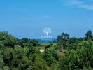 Vente Prestige Solaro 20240 9 pieces 215 m2