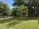 Vente Appartement Carbon-blanc 33560 3 pieces 68 m2