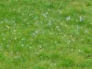 Vente Terrain Orleat 63190 1435 m2