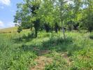 Vente Terrain Saint-georges-sur-allier 63800 815 m2
