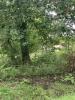 Vente Terrain Teich  33470 650 m2