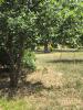 Vente Terrain Biscarrosse  40600 532 m2