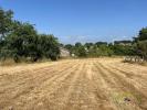 Vente Terrain Chateauneuf-la-foret 87130 2000 m2