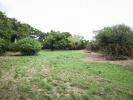 Vente Terrain Billiers 56190 1450 m2
