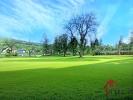 Vente Terrain Zetting 57115 1732 m2