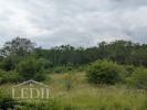 Vente Terrain Thenon 24210 10000 m2