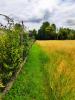 Vente Terrain Maizieres-la-grande-paroisse  10510
