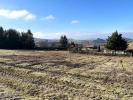 Vente Terrain Violay 42780 1030 m2