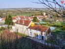 Vente Prestige Ravieres  89390 9 pieces 235 m2