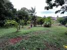 Vente Terrain Remire-montjoly  97354 2459 m2