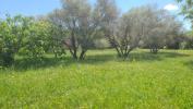Vente Terrain Paulhan 34230 817 m2