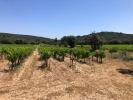 Vente Terrain Rochefort-du-gard  30650 32767 m2