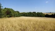 Vente Maison Nailloux 31560 4 pieces 90 m2