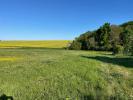 Vente Terrain Epernon  28230 425 m2