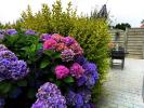 Vente Maison Lannion 22300 4 pieces 87 m2