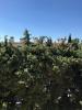Vente Appartement Nimes LE STELLA 30000 4 pieces 66 m2