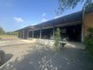 Vente Commerce Auch 32000 6 pieces 1000 m2