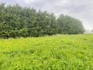 Vente Terrain Favieres  28170 2213 m2
