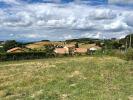 Vente Terrain Violay  42780 1030 m2