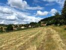 Vente Terrain Violay  42780 760 m2