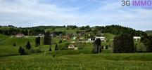 Vente Appartement Pesse  39370 3 pieces 53 m2