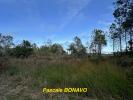 Vente Terrain Vendays-montalivet 33930 2770 m2