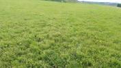 Vente Terrain Chouvigny ABREUIL 03450