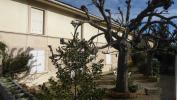 Vente Immeuble Beaurepaire 38270 247 m2