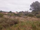 Vente Terrain Pignan 34570 338 m2